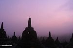Stupas at sunrise (Java) 
